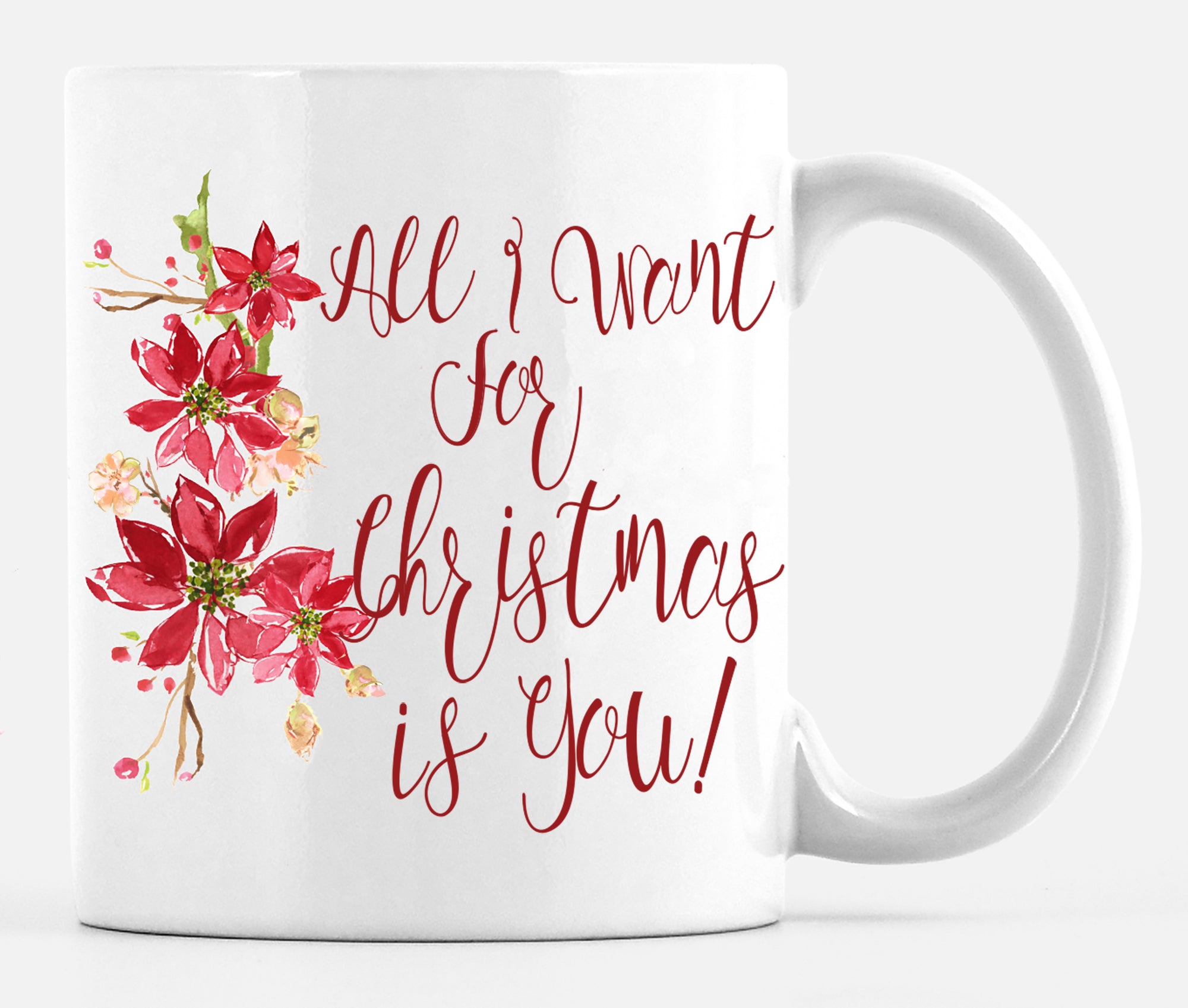Mug : Holiday All I Want for Christmas Is You!!!  Mug - Dreams After All